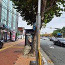 수성365약국 이미지