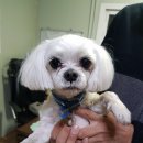 남북대로 이미지