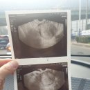 유앤장산부인과의원 이미지