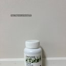 헬스나라 | 나웰 헬스오션 프로폴리스 뉴질랜드 직배송 고함량 영양제 후기