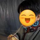 배붕