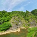 박경리메밀향 이미지