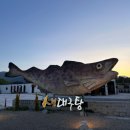 언덕위에바다 | 강원도 양양 대구탕 맛집 언덕위에바다 후기