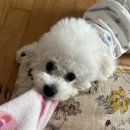 (주)공우기공 브런치