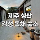 달리야드 이미지