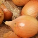 대광농원 이미지