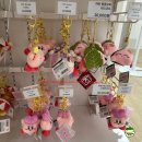 대원슈퍼 | 용산아이파크몰 도파민스테이션 닌텐도 대원샵 굿즈 목록