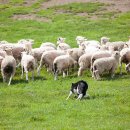 황태여행 이미지