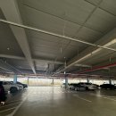 놀이터PC | 영종도 애견 동반 카페 반려견 놀이터O '온더플로우'(주차/메뉴/후기)