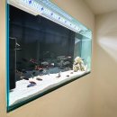 셀프사진관모먼트을지 | 건대 셀프사진관 추천 무빙모먼트 건대점 솔직후기 +꿀팁