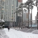 대림부동산 앞 이미지