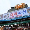 울진해양경찰서 후포파출소 이미지