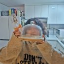 토비동물병원 | [기록] 합격 후 나의 2월 with 귀인들…