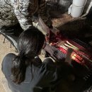 정진약국 | [일기] 더 격하게 무력하기