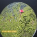 율리 휴양촌 이미지