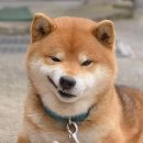 자유모텔 이미지