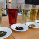 티마스터과정 이미지