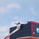 경화태양광발전소 이미지