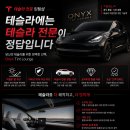 자동차 틴트 이미지