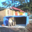 기만농장 이미지