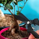 천평가든 이미지