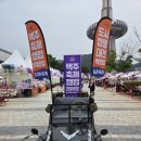 엑스포과학공원 | 2025 맥주축제 엑스포과학공원 엑스포광장 솔직후기