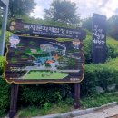 보문5거리 시작해 목재문화체험장으로 가서 보문산성에 올라 대전시내와 함께 동쪽 식장산, 남쪽 서대산...