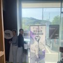 포틴시타회후기(퍼플핀분당점)