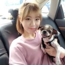경강로261 네이버블로그