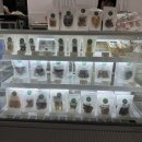 사니정원 이미지