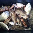 해양펜션 이미지