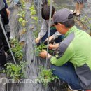 산곡농장 이미지