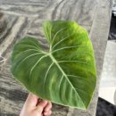 문산농약사 이미지