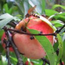 장수슈퍼 이미지