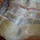 통영장어 이미지