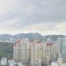 문현시장다동상가 | 10/25 대연동(대연 디아이엘, 문현 임피니엘, 양우내안애, 클라센트, 롯데캐슬레전드) 임장 후기