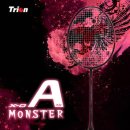 트라이온에어