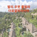 더푸른풀빌라 | 발리 우붓 "더로얄피타마하"풀빌라 후기