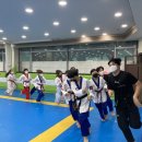 용인대진안태권도장 이미지