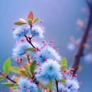 삼월 Daum카페