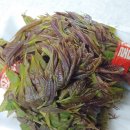 사나물농장 이미지