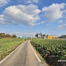 바른땅공인중개사사무소 이미지