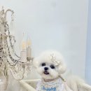 뽀드득 블랑스파 이미지