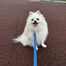 지산어린이공원 이미지