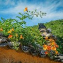 남평문씨본리세거지 주차장 이미지