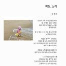 파도소리 이미지