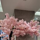 브라운 도트 이미지