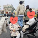 베이블 | 산책용 베이블퓨어리 트라이크 유모차 T2 내돈내산 후기