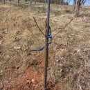 디딤돌농장 이미지