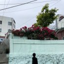 봉산이용원